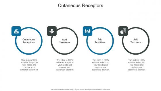 Cutaneous Receptors In Powerpoint And Google Slides Cpb