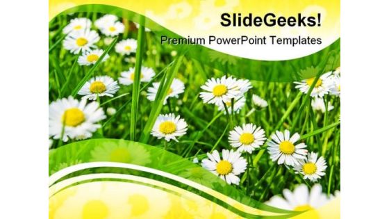 Daisies01 Beauty PowerPoint Template 1110