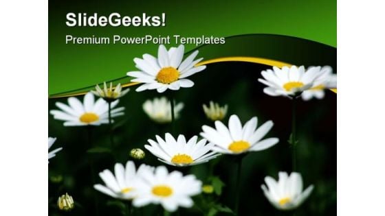 Daisies Nature PowerPoint Templates And PowerPoint Backgrounds 0311