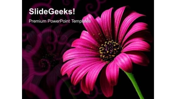 Daisy Flower Beauty PowerPoint Templates And PowerPoint Themes 0512 Daisy Flower Beauty PowerPoint Templates And PowerPoint Themes 0512