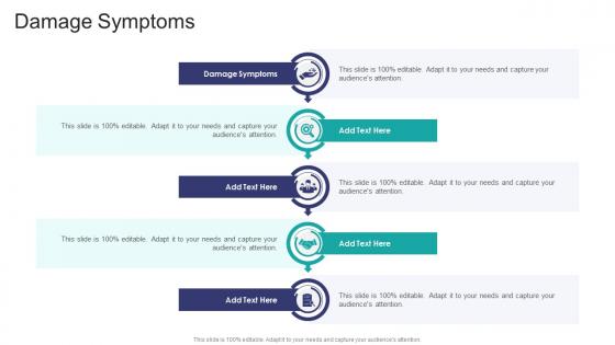 Damage Symptoms In Powerpoint And Google Slides Cpb Damage Symptoms In Powerpoint And Google Slides Cpb