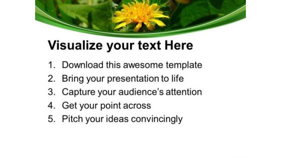 Dandelion Flowers Nature PowerPoint Templates Ppt Backgrounds For Slides 0513