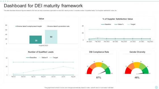 Dashboard For DEI Maturity Framework Icons Pdf