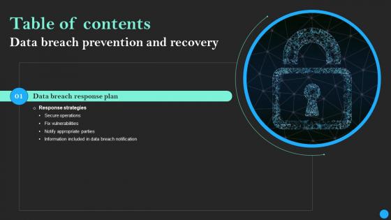 Data Breach Prevention And Recovery Table Of Contents Download Pdf