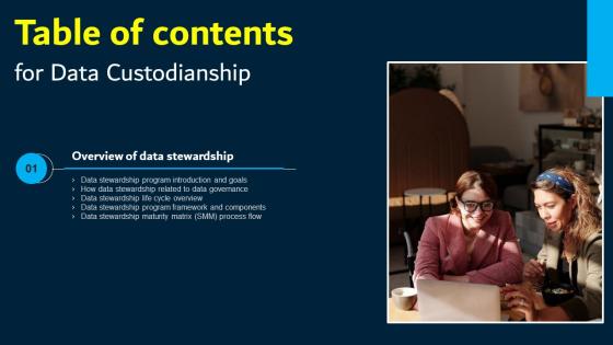 Data Custodianship Table Of Contents Portrait Pdf