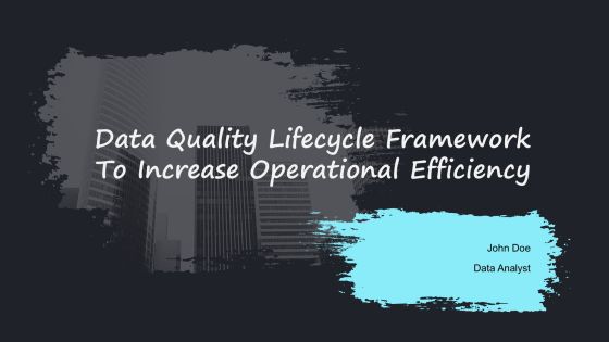 Data Quality Lifecycle Framework To Increase Operational Efficiency PPT Slides AT