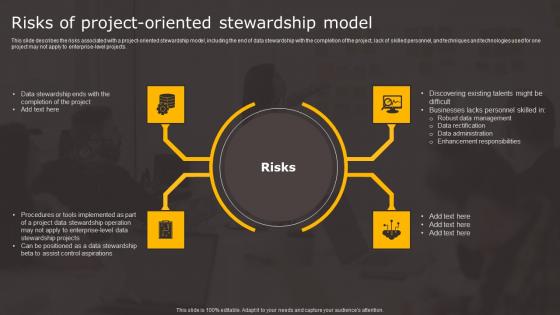 Data Stewardship In Business Processes Risks Of Project Oriented Stewardship Sample Pdf