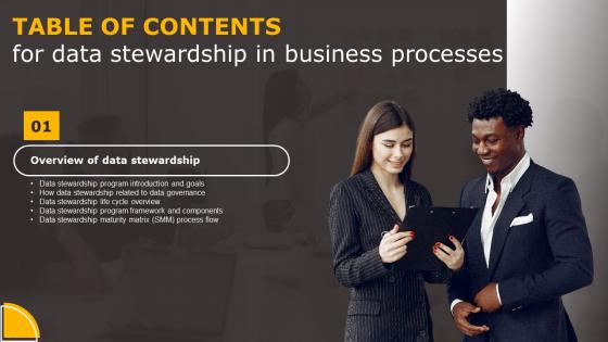 Data Stewardship In Business Processes Table Of Contents Summary Pdf