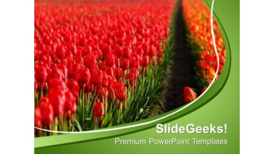 Decoration Of House Using Tulips PowerPoint Templates Ppt Backgrounds For Slides 0313 Decoration Of House Using Tulips PowerPoint Templates Ppt Backgrounds For Slides 0313