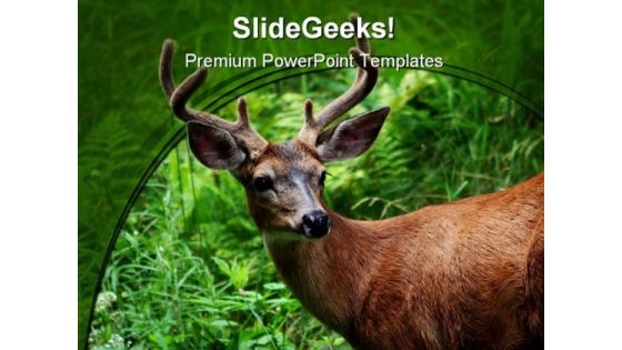 Deer Animal PowerPoint Template 0810