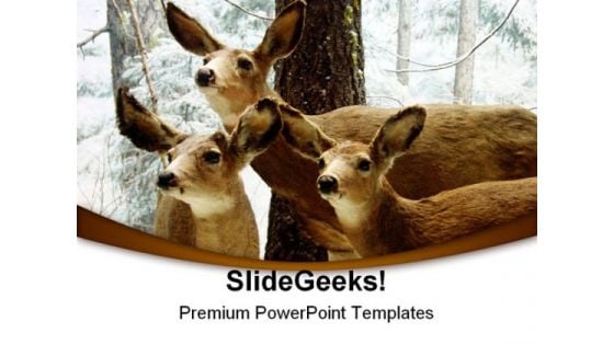 Deer Animals PowerPoint Templates And PowerPoint Backgrounds 0211
