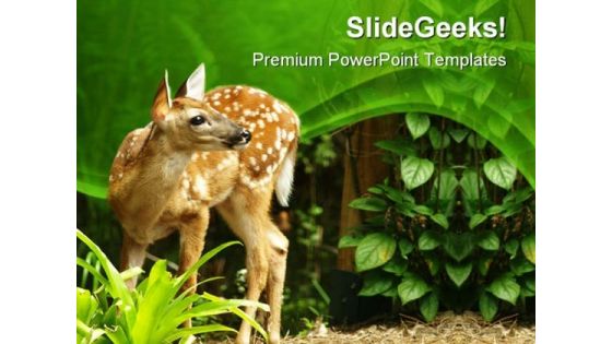 Deer Animals PowerPoint Templates And PowerPoint Backgrounds 0411