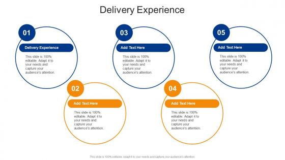 Delivery Experience In Powerpoint And Google Slides Cpb