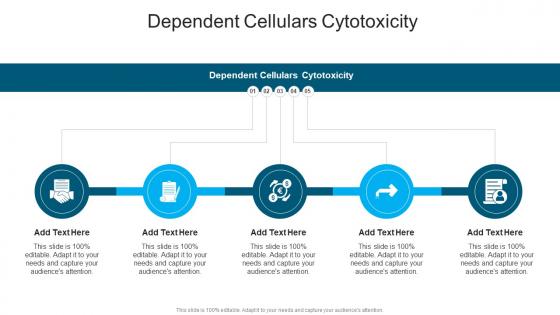 Dependent Cellulars Cytotoxicity In Powerpoint And Google Slides Cpb