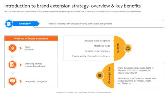 Deploying Strategies For Business Introduction To Brand Extension Strategy Overview Strategy SS V Deploying Strategies For Business Introduction To Brand Extension Strategy Overview Strategy SS V