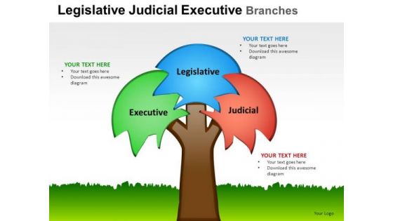 Design Legislative Judicial Executive Branches PowerPoint Slides And Ppt Diagram Templates