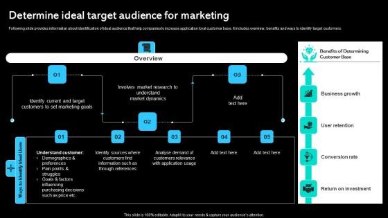 Determine Ideal Target Audience For Marketing Paid Marketing Approach Designs Pdf