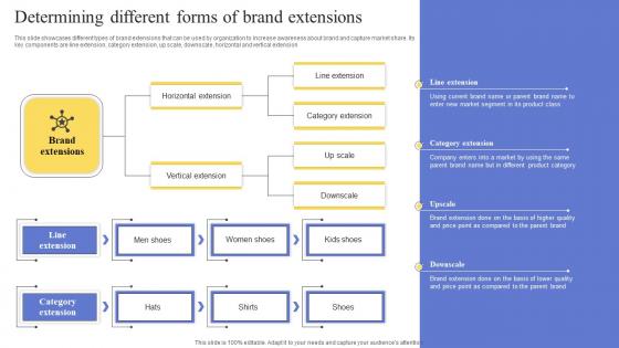 Determining Different Forms Of Brand Extensions Maximizing Revenue Using Brochure Pdf