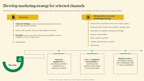 Develop Marketing Strategy For Selected Channels Online Customer Acquisition Introduction Pdf