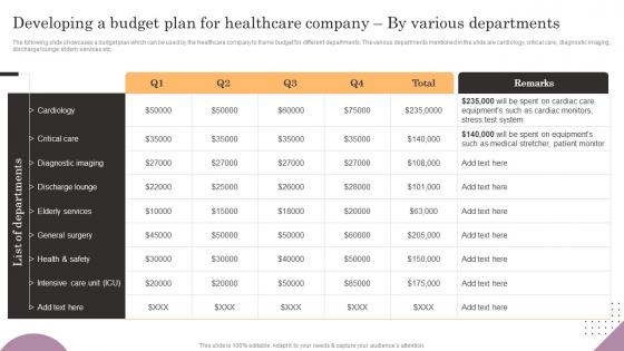 Developing A Budget Plan For Healthcare Company General Management Elements Pdf