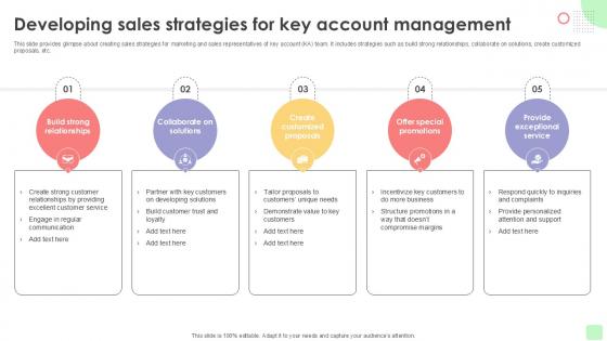 Developing Sales Strategies Detailed Business Account PPT PowerPoint Strategy SS V Developing Sales Strategies Detailed Business Account PPT PowerPoint Strategy SS V