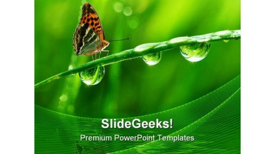 Dew And Butterfly Nature PowerPoint Templates And PowerPoint Backgrounds 0411