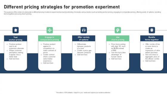 Different Pricing Strategies For Promotion Experiment Professional Pdf