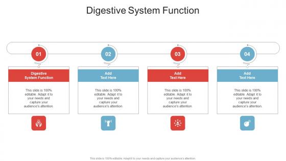 Digestive System Function In Powerpoint And Google Slides Cpb