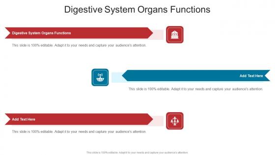 Digestive System Organs Functions In Powerpoint And Google Slides Cpb