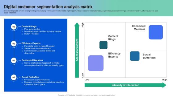 Digital Customer Segmentation Analysis Matrix Guide For Segmenting And Formulating Sample Pdf