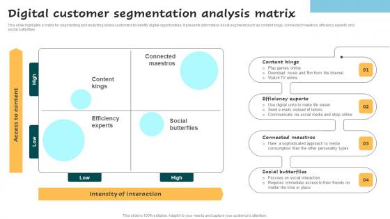 Digital Customer Segmentation Analysis Matrix Successful Guide For Market Segmentation Elements Pdf
