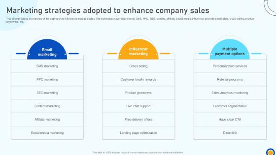 Digital Marketing Strategies Marketing Strategies Adopted To Enhance Company Sales SA SS V