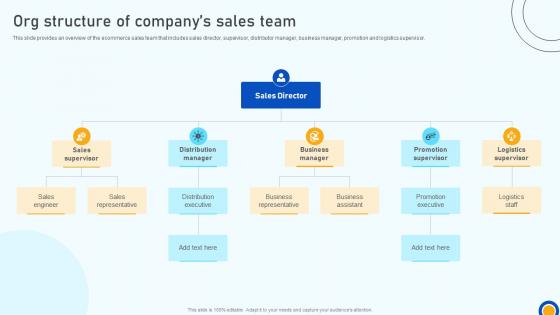 Digital Marketing Strategies Org Structure Of Companys Sales Team SA SS V