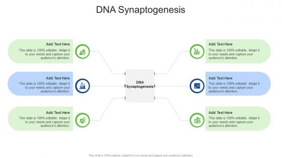 DNA Synaptogenesis In Powerpoint And Google Slides Cpb