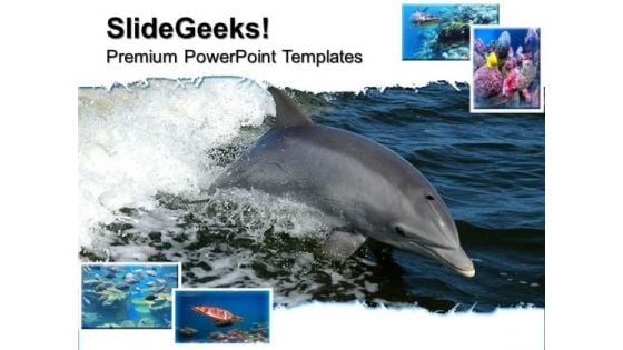 Dolphin Animals PowerPoint Templates And PowerPoint Themes 0512