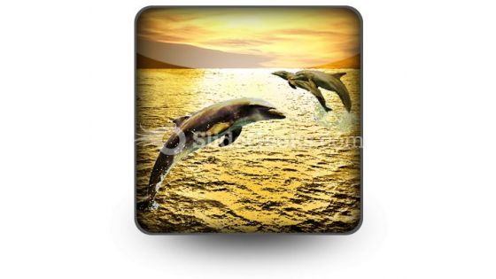 Dolphins PowerPoint Icon S