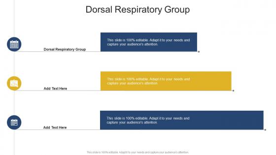 Dorsal Respiratory Group In Powerpoint And Google Slides Cpb