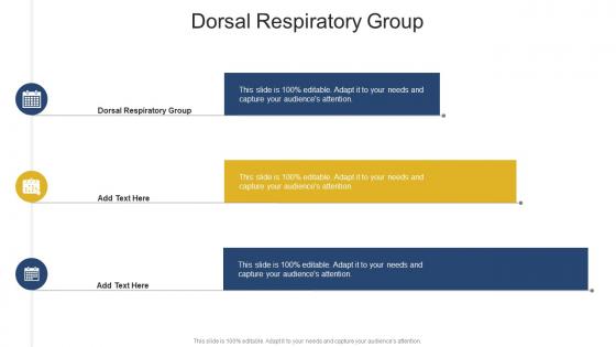 Dorsal Respiratory Group In Powerpoint And Google Slides Cpb Dorsal Respiratory Group In Powerpoint And Google Slides Cpb