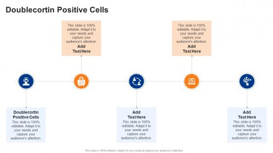 Doublecortin Positive Cells In Powerpoint And Google Slides Cpb