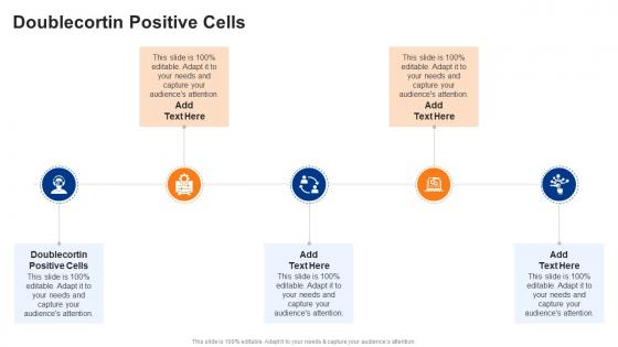 Doublecortin Positive Cells In Powerpoint And Google Slides Cpb
