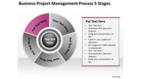 Download Project Management Process 5 Stages Business Plan Examples PowerPoint Slides