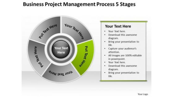 Download Project Management Process 5 Stages Business Plan How To PowerPoint Templates