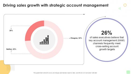 Driving Sales Growth With Strategic Detailed Business Account PPT Example Strategy SS V