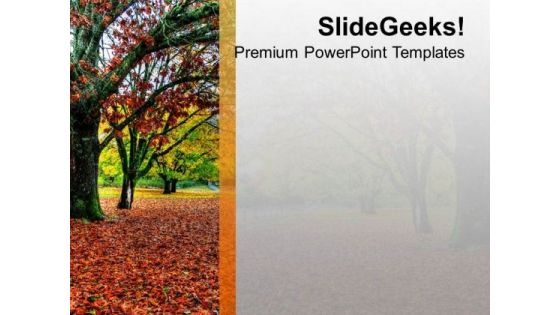 Dry Leaves Fall From Tree PowerPoint Templates Ppt Backgrounds For Slides 0513