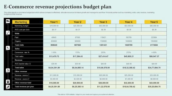 E Commerce Revenue Projections Budget Plan Infographics Pdf