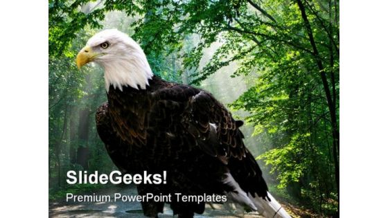 Eagle Animals PowerPoint Template 1010