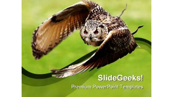 Eagle Owl In Flight Animals PowerPoint Templates And PowerPoint Backgrounds 0111