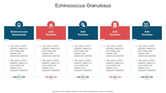 Echinococcus Granulosus In Powerpoint And Google Slides Cpb