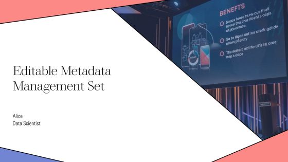Editable Metadata Management Set PPT Example AT