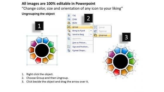 Editable Ppt Slides Rose Petal Diagram PowerPoint Templates